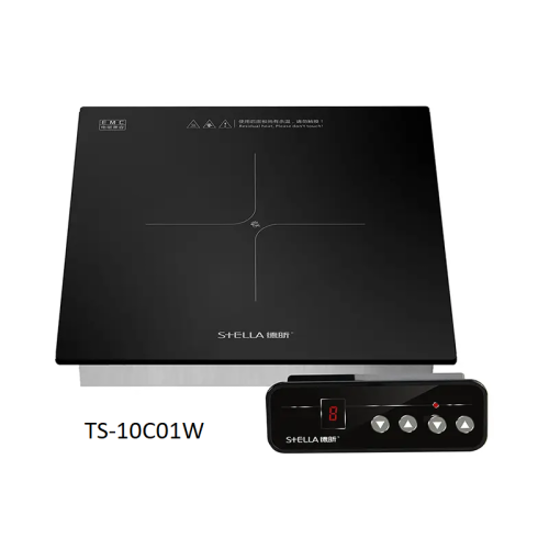 TS-10C01W