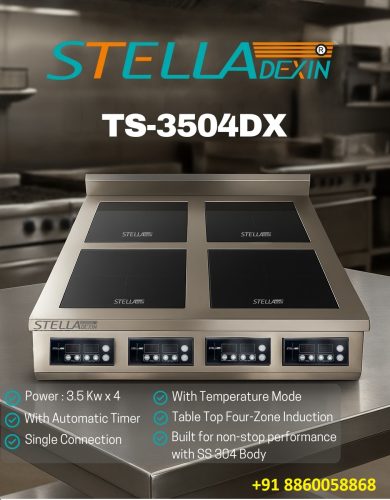 TS-3503DX