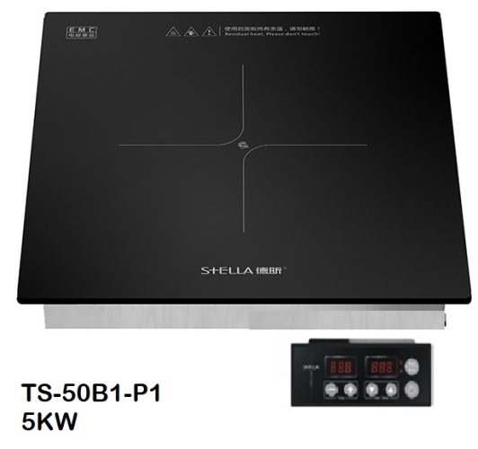 TS-50B1-P1